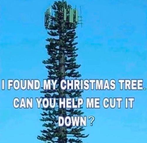 photo_2024-12-20_16-36-43