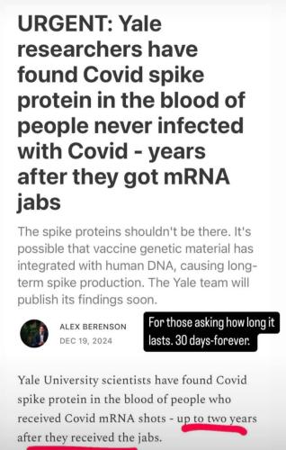 photo_2024-12-22_13-30-45