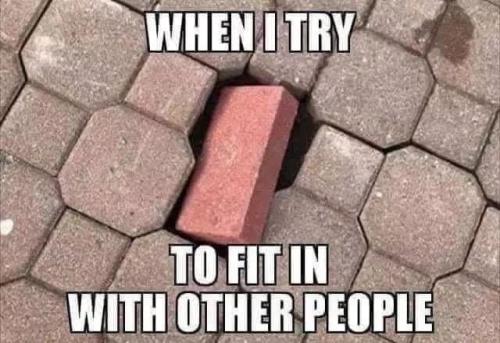 20241229_100950
