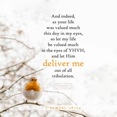 1-sam-26-24-NKJV-unsplash-400x400