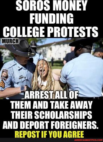 7983068c789804abee3ccf18f41e9b37_1024