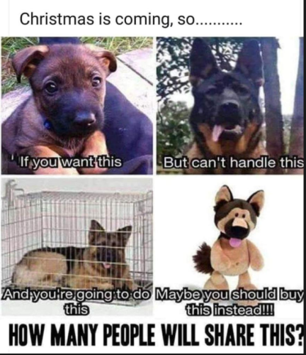 Screenshot 2024-11-27 200541