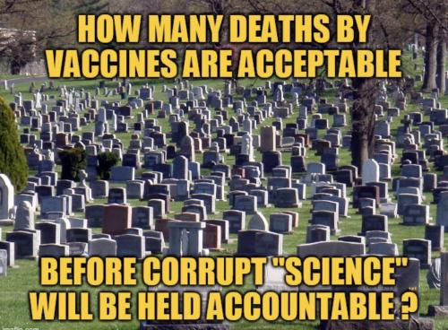 IMG_20241228_182823_384