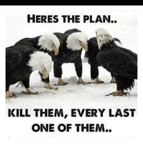 3b47af2a-49be-46ae-9b12-1d9a4a4e4328