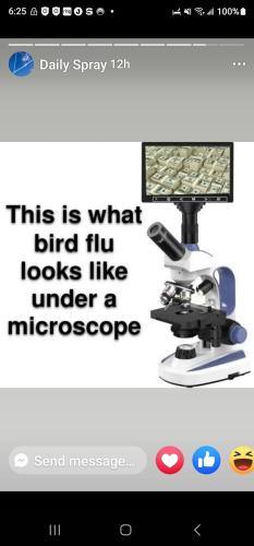 Bird Flue Inder Microscope