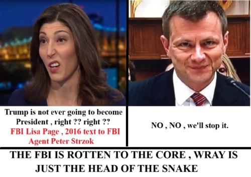 lisa page