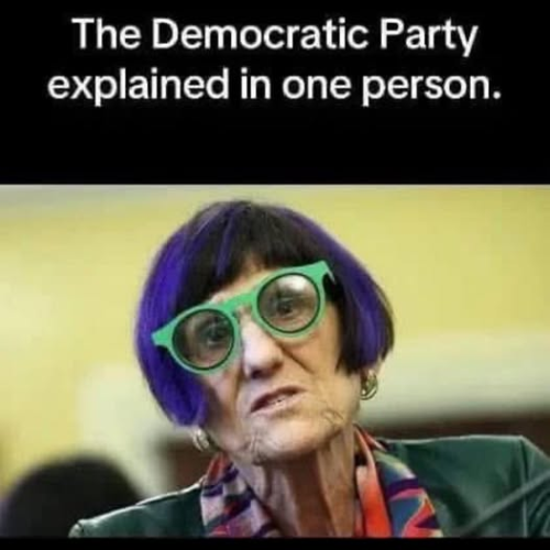 image_073D1437-BC01-437D-95ED-81494DF5ECB1