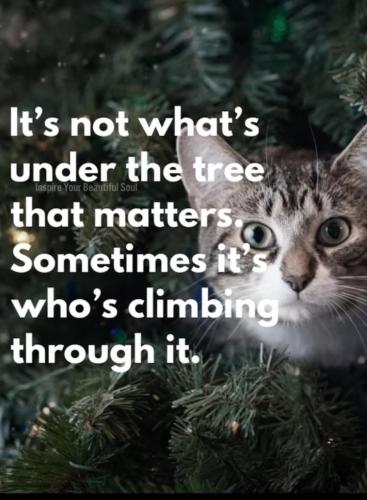 6CF34820-9349-4228-AFF7-5F21372FE708