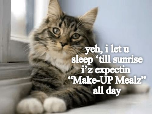 af58f86881ac6476fb3c434b7c654058