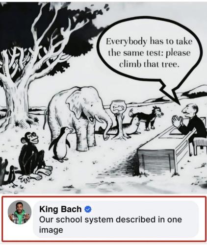 Screenshot_20241218_124046_Facebook