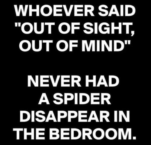 ce8503de6e5084f1c064381997cb3977