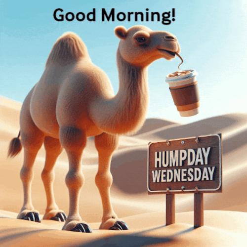 1-Hump Day