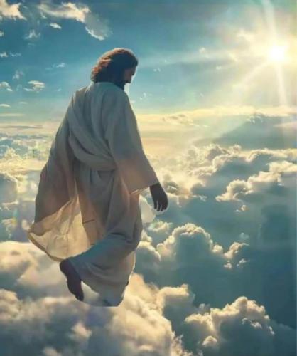 1fcff595-d66e-44cf-9f0d-72b8585aaa07