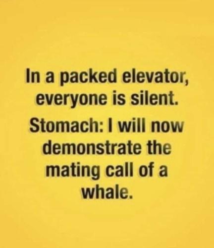 b22315dfd8358187112f0babb0917898