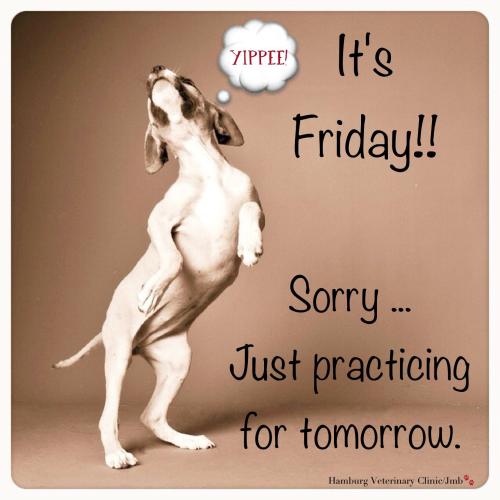 fff1906c0ad75d7cd43684178affadb9