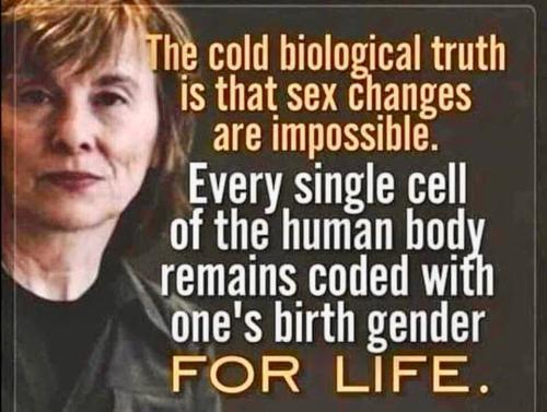 faad572e-f3af-4c76-a8f9-4afb587ae395