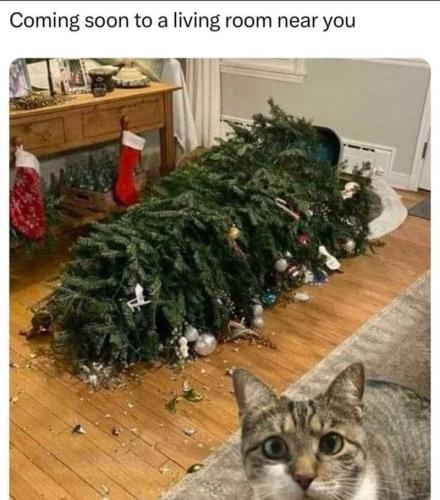 coming-soon-living-room-near