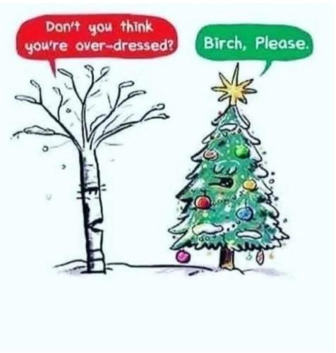 Screenshot_20241225_054541_Brave