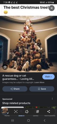 Screenshot_20241206_193804_Google