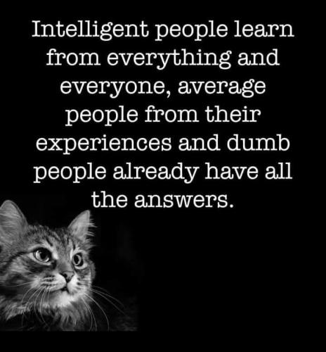 Screenshot_2024-12-04-11-06-26-97_a23b203fd3aafc6dcb84e438dda678b6