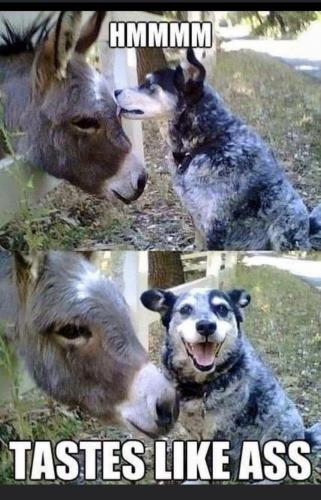 image_E5AB8E04-0EA5-42F0-8C29-3EB99703BB3D