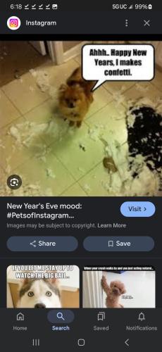 Screenshot_20241231_181848_Google