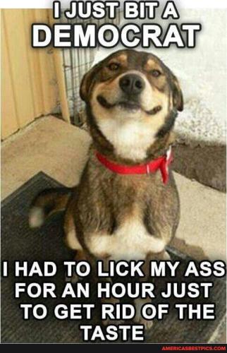 cdb8fd9ae55378200e59cc7b5a5df0e969890cc43b51a74b7be04aa21f5b4fba_1