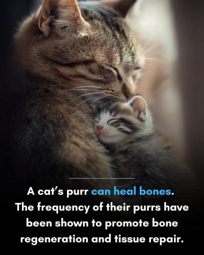 FB_IMG_1735147898010