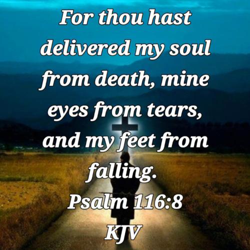 8ecffbc2-5225-4fc9-95d8-86846a13a949