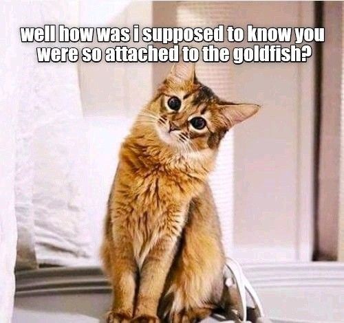 1df2d1b376d7a0a26d7e8ae373c58ae1