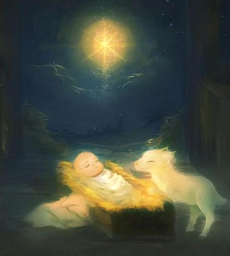 photo_2024-12-25_00-53-13