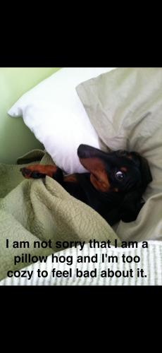 Screenshot_20241210_220830_Gallery