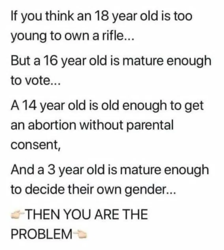 image_2024-12-08_084320995