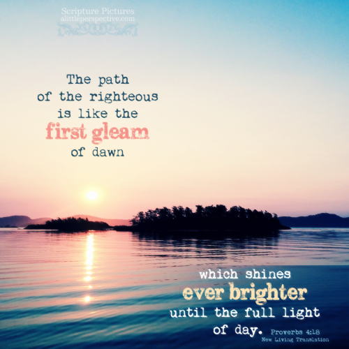 pro-4-18-NLT-unsplash