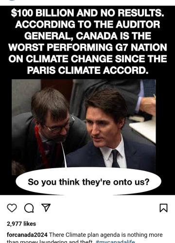 Screenshot_20241210-140801_Brave