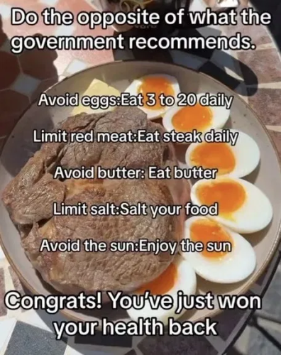 image_2024-12-19_064432520