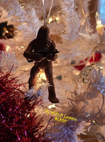 Screenshot_20241219_064533_Gallery