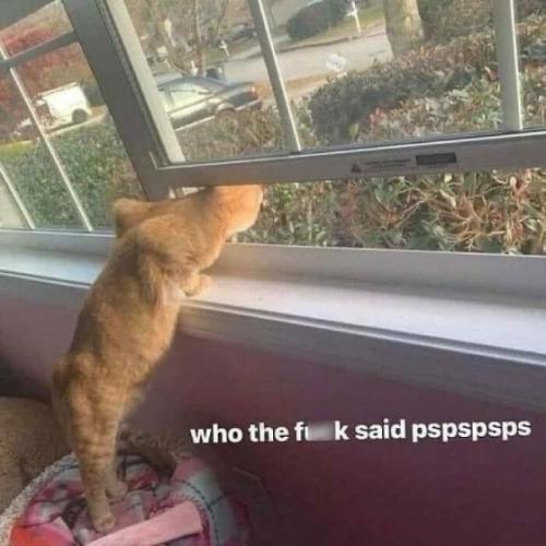 13ca389ecdbbc5c2329810647a88bb8c