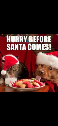 Screenshot_20241218_181755_Gallery