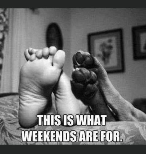 1e7b5b4bde3b9313d21521df984dec93