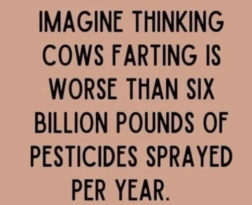 image_2024-12-10_062543457