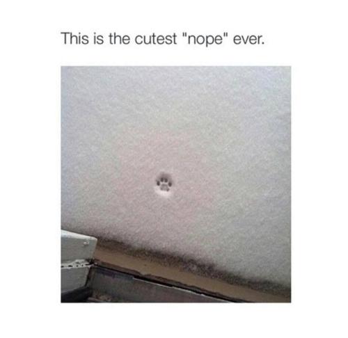 b75229aab8df23f8c67822b787ea6852