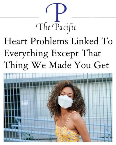 photo_2024-12-29_22-35-28