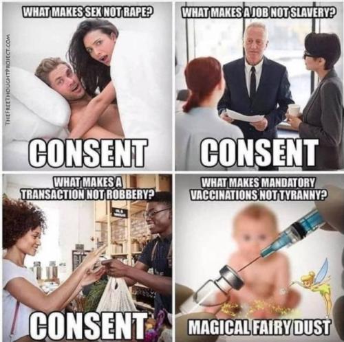 IMG_20241219_052235_947