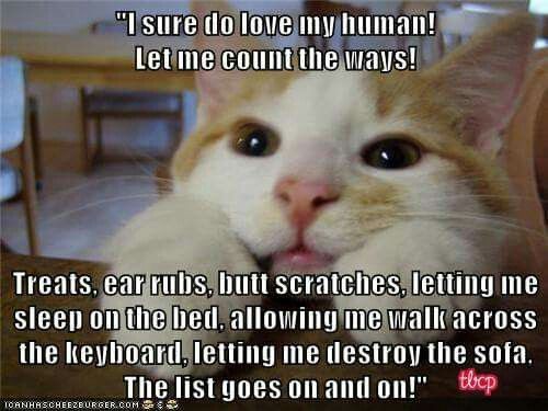 cc9a8cb464f9828f945fb120e64ad7f2