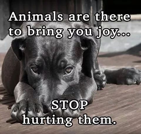 b39a97569862f01ce2daddc5996be97d