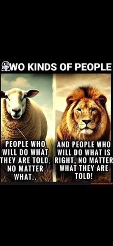 Screenshot_20241219_185701_Gallery