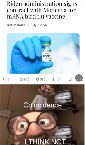 image_2024-12-28_092705262