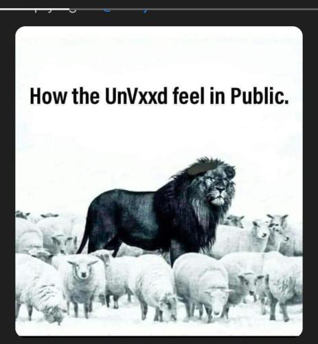 5885dd98-2b6b-4441-984f-4151517ea773