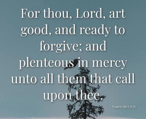 6ad655c3-a9e1-4808-8ff0-451ca40d2191